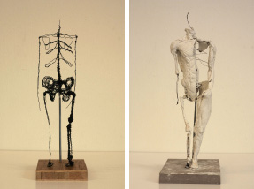 Drahtfigur des menschlichen Skelettes und Muskelstudie